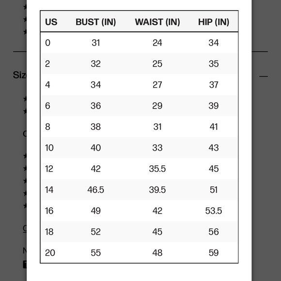 NWT Princess Polly Donna Mini Dress 4 Floral Off Shoulder Puff Sleeve Coquette - Picture 12 of 13